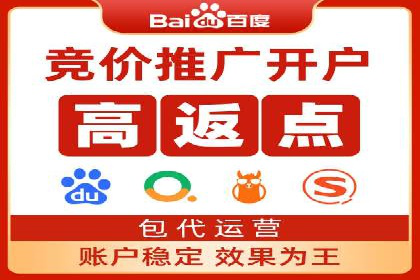 SEM外包服务应用案例分析